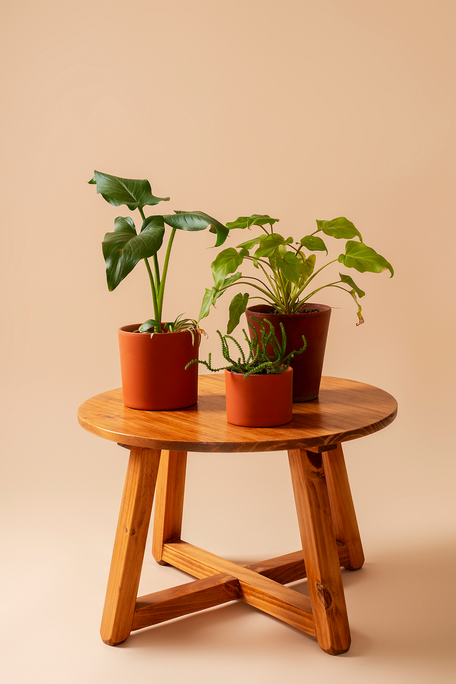 Shop by Plant Style